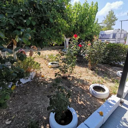 Green Garden Caravan Ξενοδοχείο Agrilia Εξωτερικό φωτογραφία