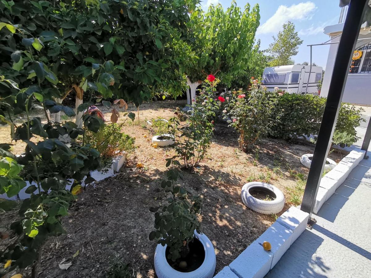 Green Garden Caravan Ξενοδοχείο Agrilia Εξωτερικό φωτογραφία